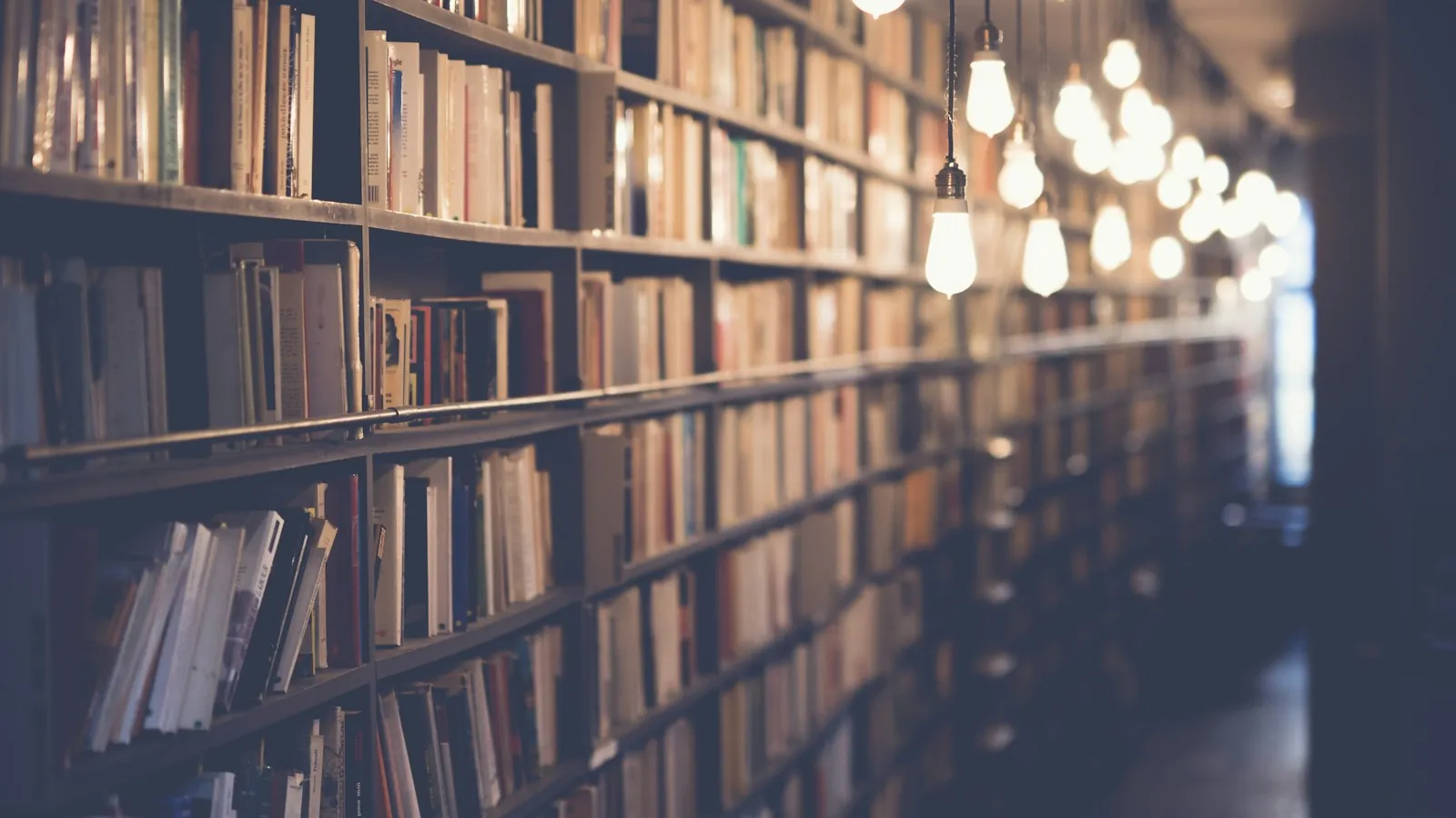 Photo of library with turned on lights